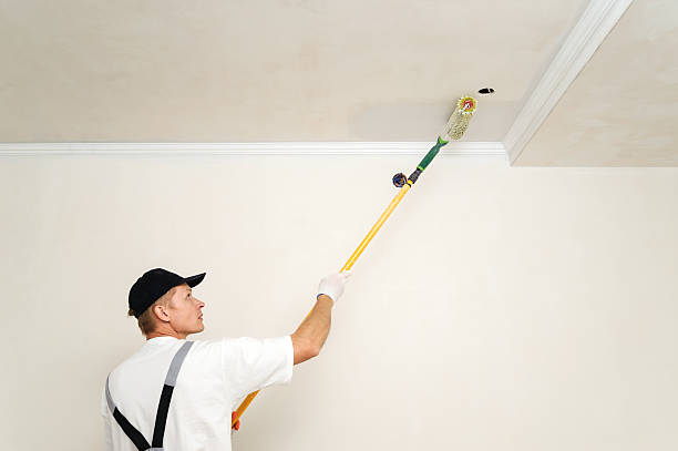 istock Painting walls and ceilings 491789864