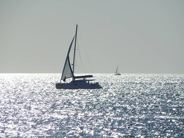istock Silhouette of a yacht. 491790010