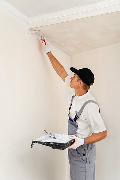 istock Painting walls and ceilings 491790280