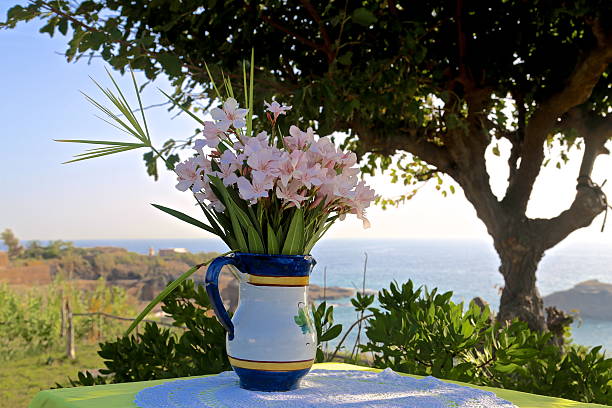 Flower on the table under the tree by the seaside stock photo