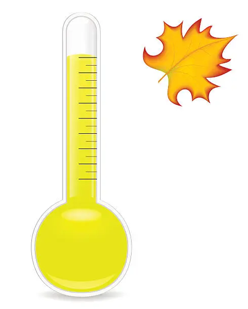 Vector illustration of Thermometer and leaf. Vector. illustration