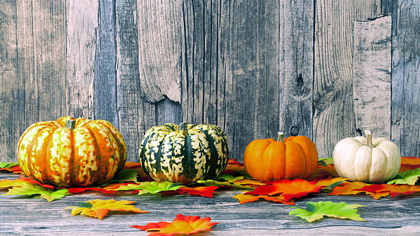 istock thanksgiving or halloween background 491792036