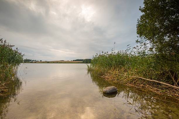 istock Beautiful lake landscape with nice light 491799446