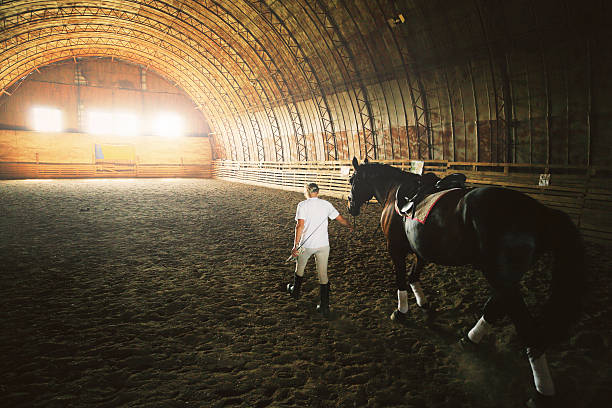 istock Woman with her horse in stable 491800432