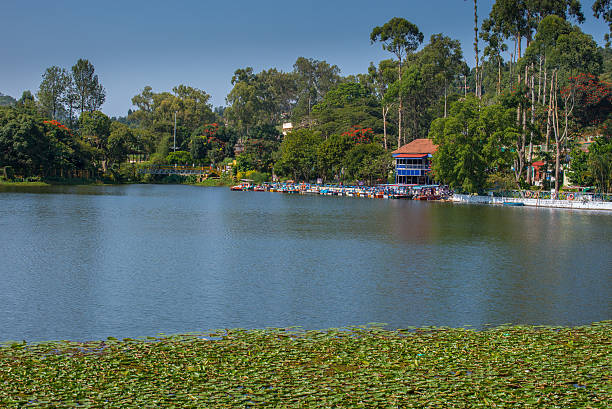 istock Tourist place with docked boats 491800496