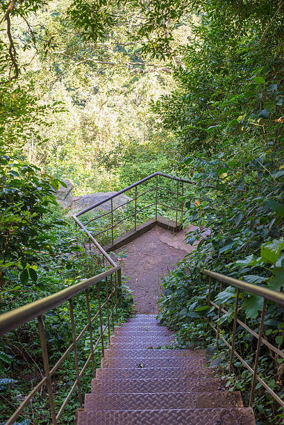 escadas em um verde caminhadas trail - personal perspective vanishing point diminishing perspective staircase imagens e fotografias de stock