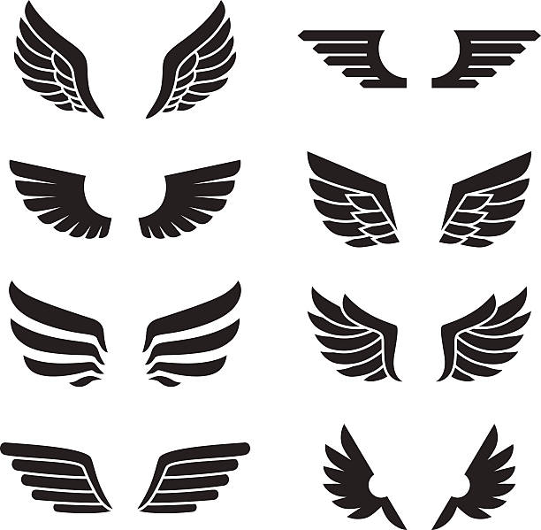 ilustrações de stock, clip art, desenhos animados e ícones de conjunto de ícones de vetor de asas pretas. design minimalista. - sillhoutte