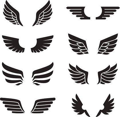 Wings black icons vector set. Modern minimalistic design. Silhouetteю