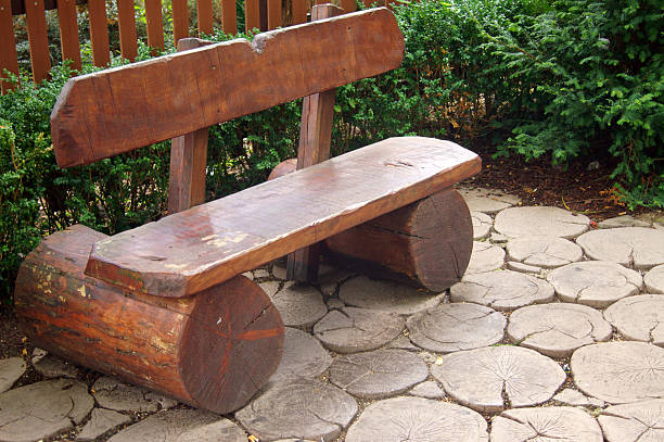 istock Wooden bench in the park 491805406