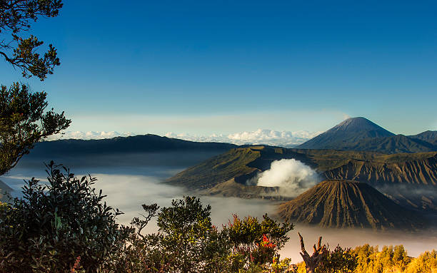 istock Mount Bromo volcanoes taken in Tengger Caldera, East Java, Indonesia. 491810504