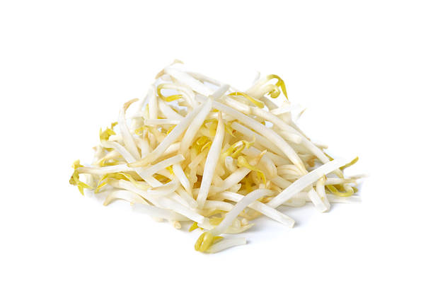 istock pile of bean sprouts on white background 491812654