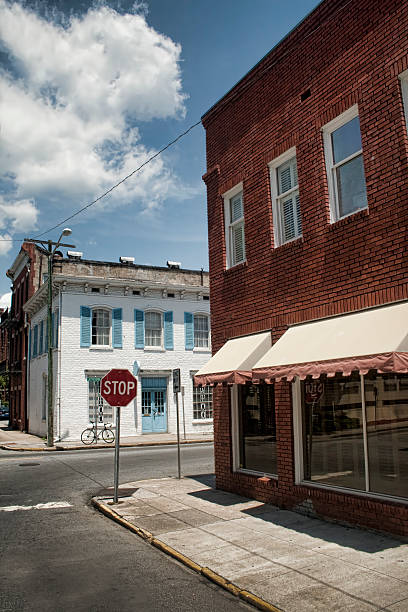 istock Historical District Downtown Savannah Georgia 491812690