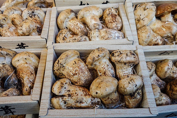 Paris,France - October 8, 2024: Porcini mushrooms or Cepe sold at open market in Paris, France