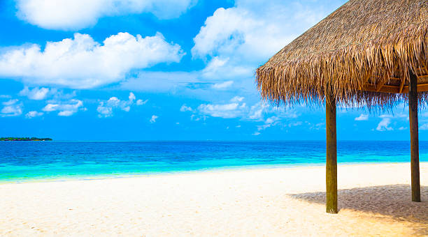 istock Maldives island hut with beach in the background 491823882