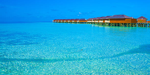 istock Over water bungalows in the Maldives 491824528