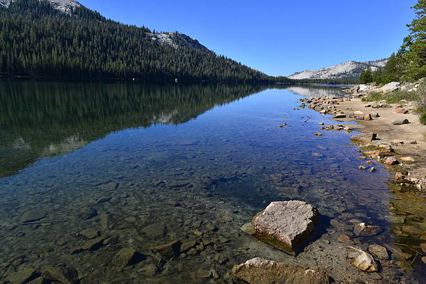 istock Fresh water at Yosemite National Park in America. 491829302