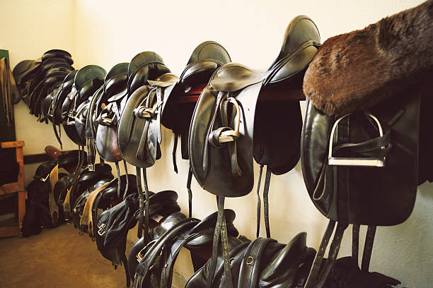 istock Saddles in tack room. 491831336