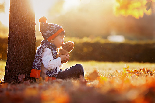 Adorable little boy with teddy bear in the park on an autumn day in the afternoon, sitting on the grass