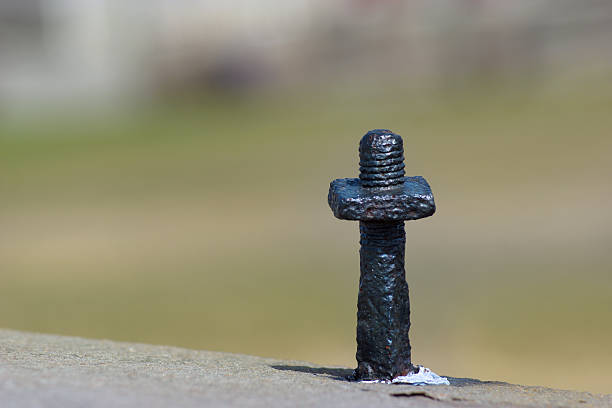 istock close up black bolt, outdoor view, blurred background 491836007