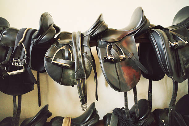 saddles au tack room. - leather harness photos et images de collection