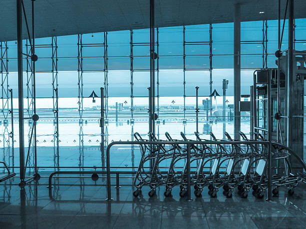 istock Empty luggage trolleys row in airport 491837330