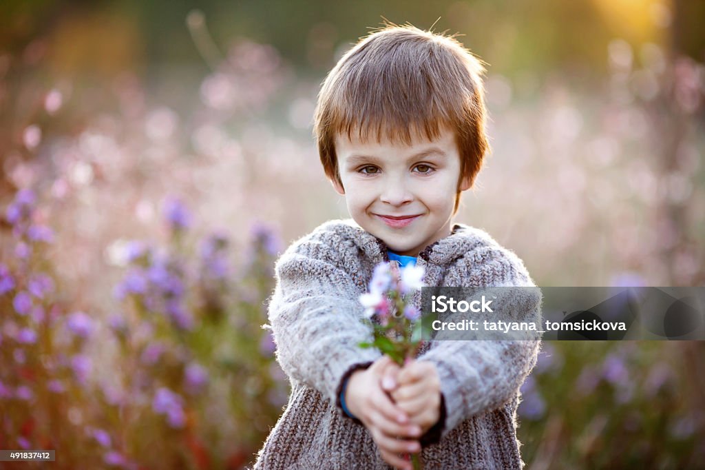 Sweet little boy, holding flowers on sunset Sweet little boy, holding flowers on sunset, autumn day, back lit Social Grace Stock Photo