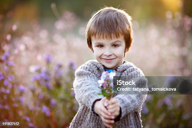 Sweet Little Boy Holding Flowers On Sunset Stock Photo - Download Image Now - Social Grace, Child, Flower
