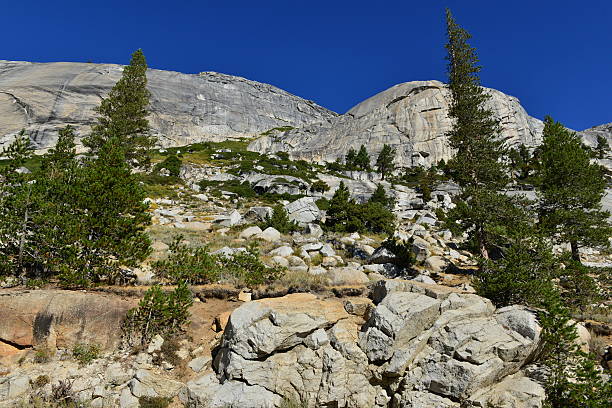 istock Yosemite National park on a bright fall day 491837680