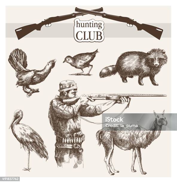 Hunter Sees The Goal Stock Illustration - Download Image Now - Deer, Sports Target, Hunter