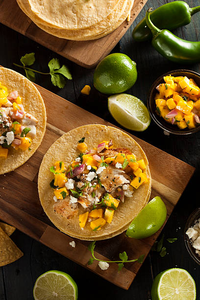 istock Homemade Baja Fish Tacos 491838153