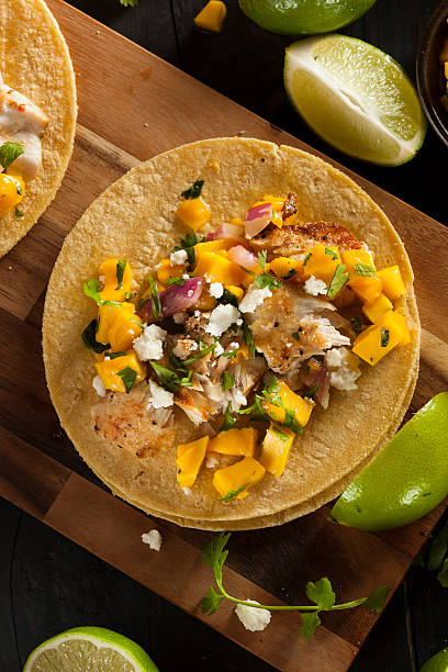 istock Homemade Baja Fish Tacos 491838155
