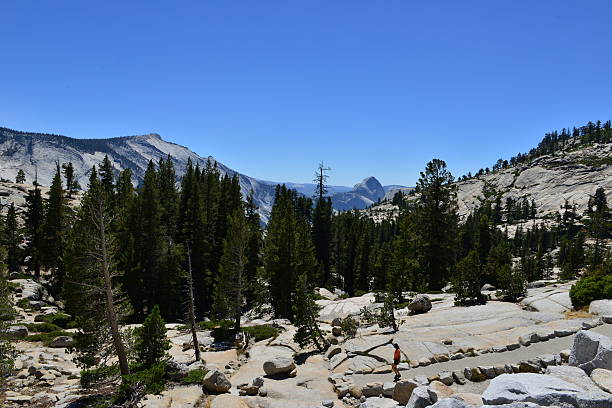 istock Yosemite National park on a bright fall day 491838346