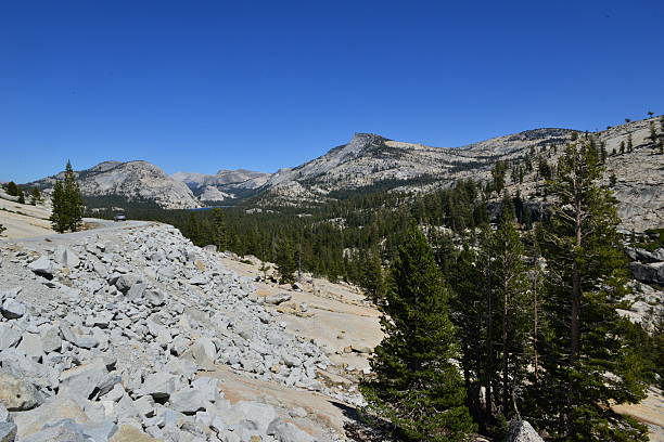 istock Yosemite National park on a bright fall day 491838462