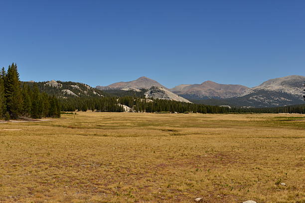 istock Yosemite National park on a bright fall day 491838518
