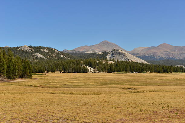 istock Yosemite National park on a bright fall day 491838580