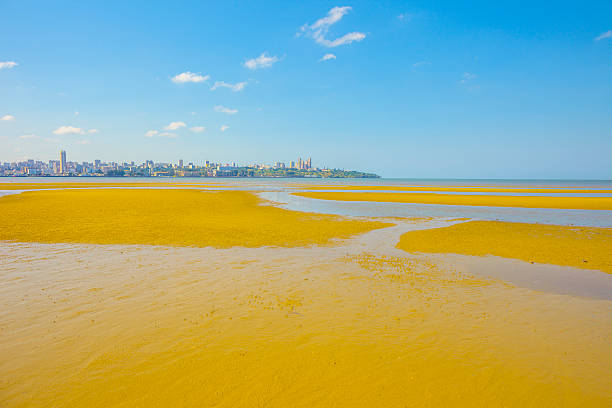 Maputo Bay stock photo