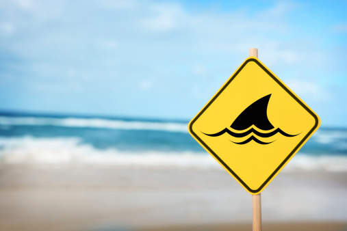 Shark fin on a yellow warning sign with wooden post at the beach