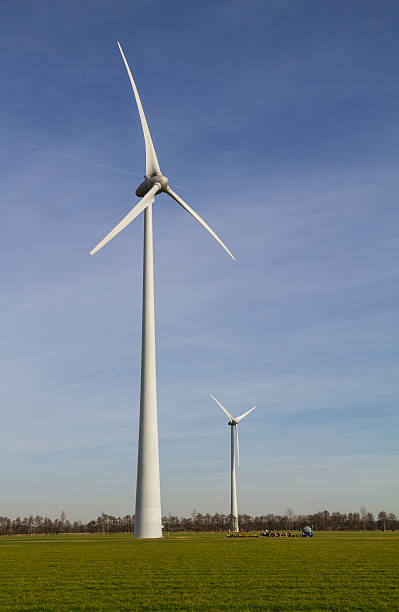 緑の芝生の風車土地、澄んだ空 - netherlands windmill farm farmhouse ストックフォトと画像