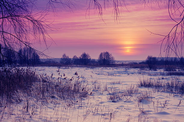 istock Beautiful winter pink sunset over snowy field 491839660