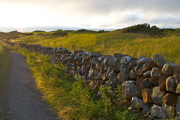 Traditional Volcanic Stone Wall Boundary Against Clear Blue Sky, Rural Agricultural Architecture. Centuries-Old Basalt Rock Fence Dividing Pastures and Fields in Terceira Island, Azores Archipelago