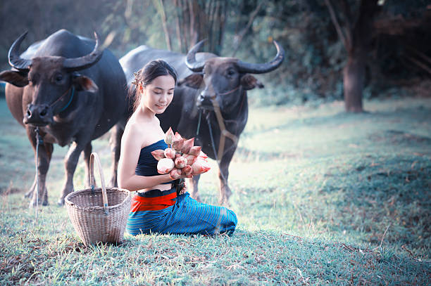 istock thai ancient young women with buffalo on rural 491842906