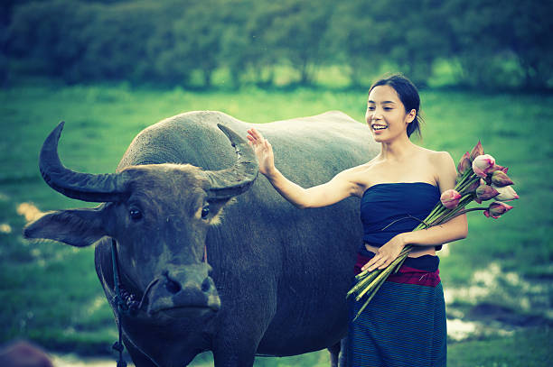 istock thai ancient young women with buffalo on rural 491843498