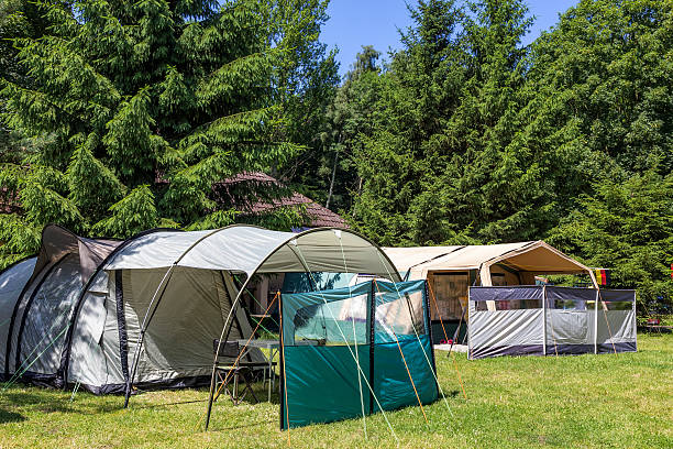istock Summer camping in the woods 491851560