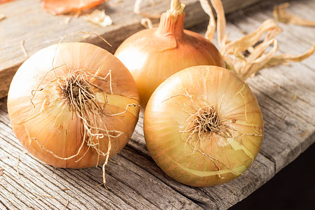 istock Fresh onions on wooden table 491853728