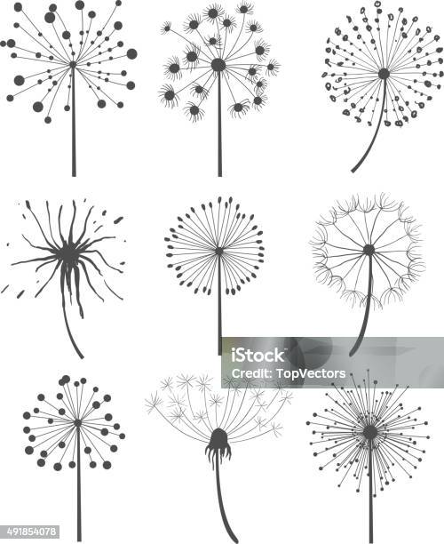 Monochrome Dandelion Set Vector Illustration Stock Illustration - Download Image Now - Dandelion, 2015, Abstract