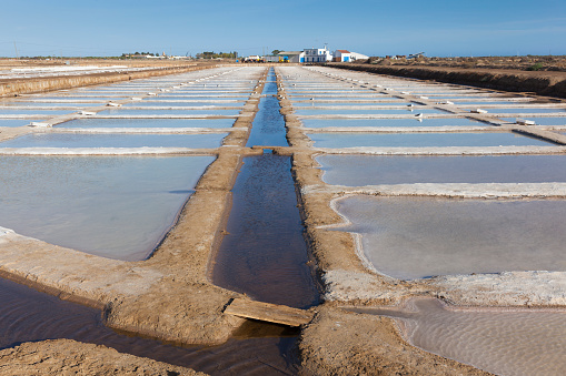 Salt Pans, Tavira, Algarve, Portugal