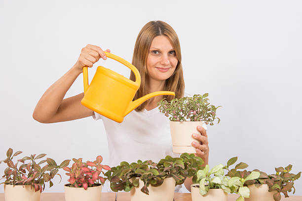 istock Girl watering flowers decorative home 491857036