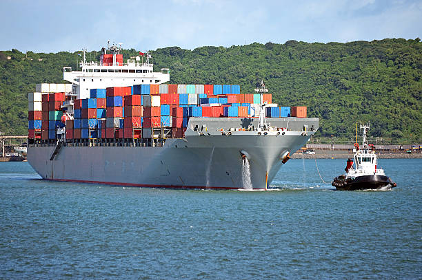 istock Elizabeth's containers, South Africa 491869059