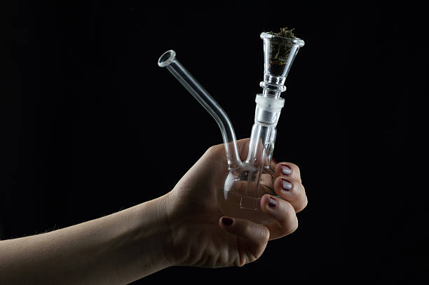 istock woman's hand and cannabis 491869225