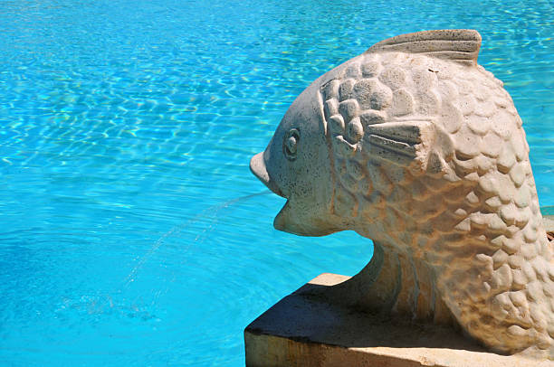 istock stone fish and swimming pool 491869688
